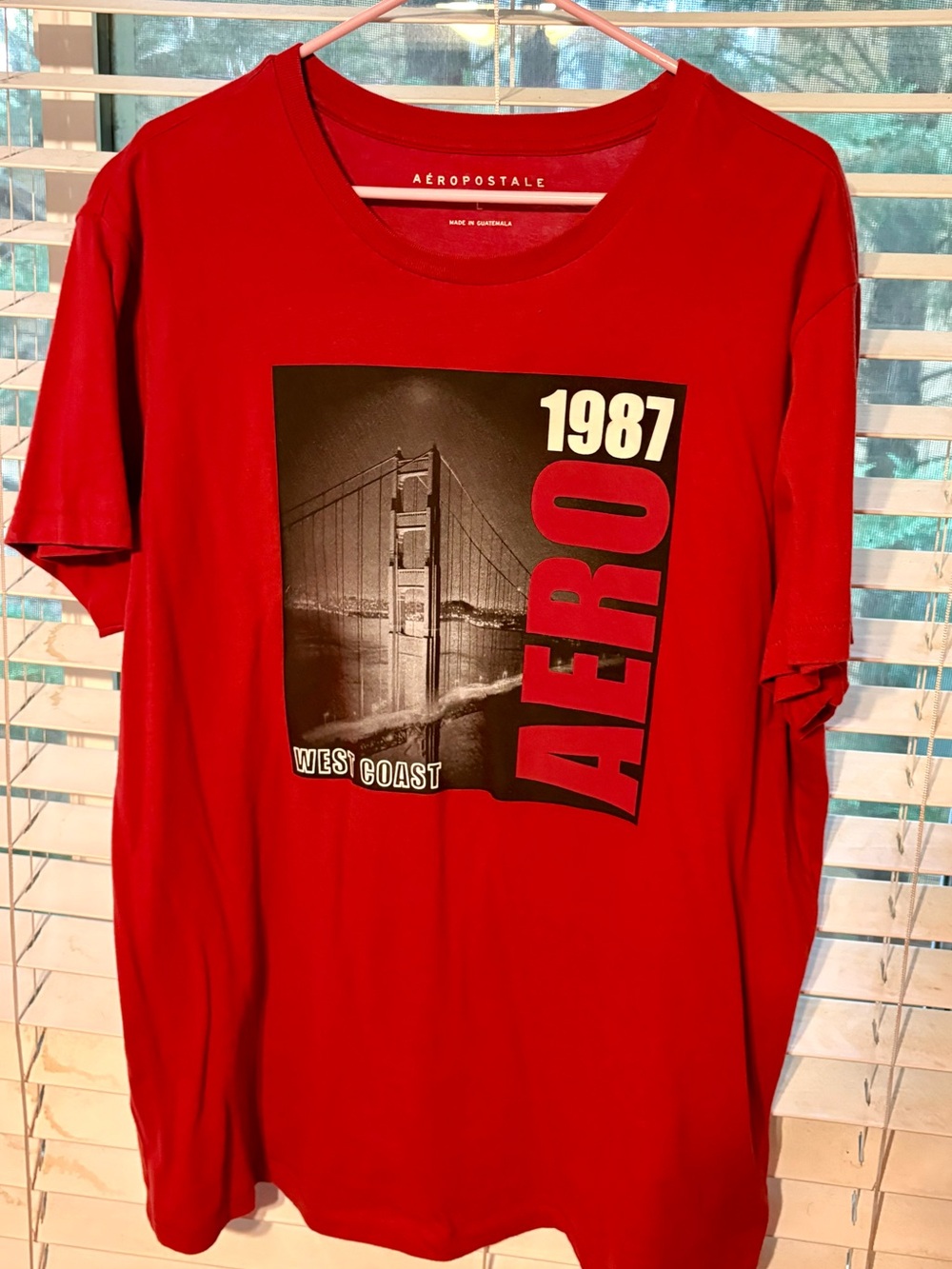 Aeropostale Men’s Red Graphic Tee with Black Photo Panel